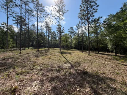 $450,000 | 0 Laird Road, Crestview, FL 32539