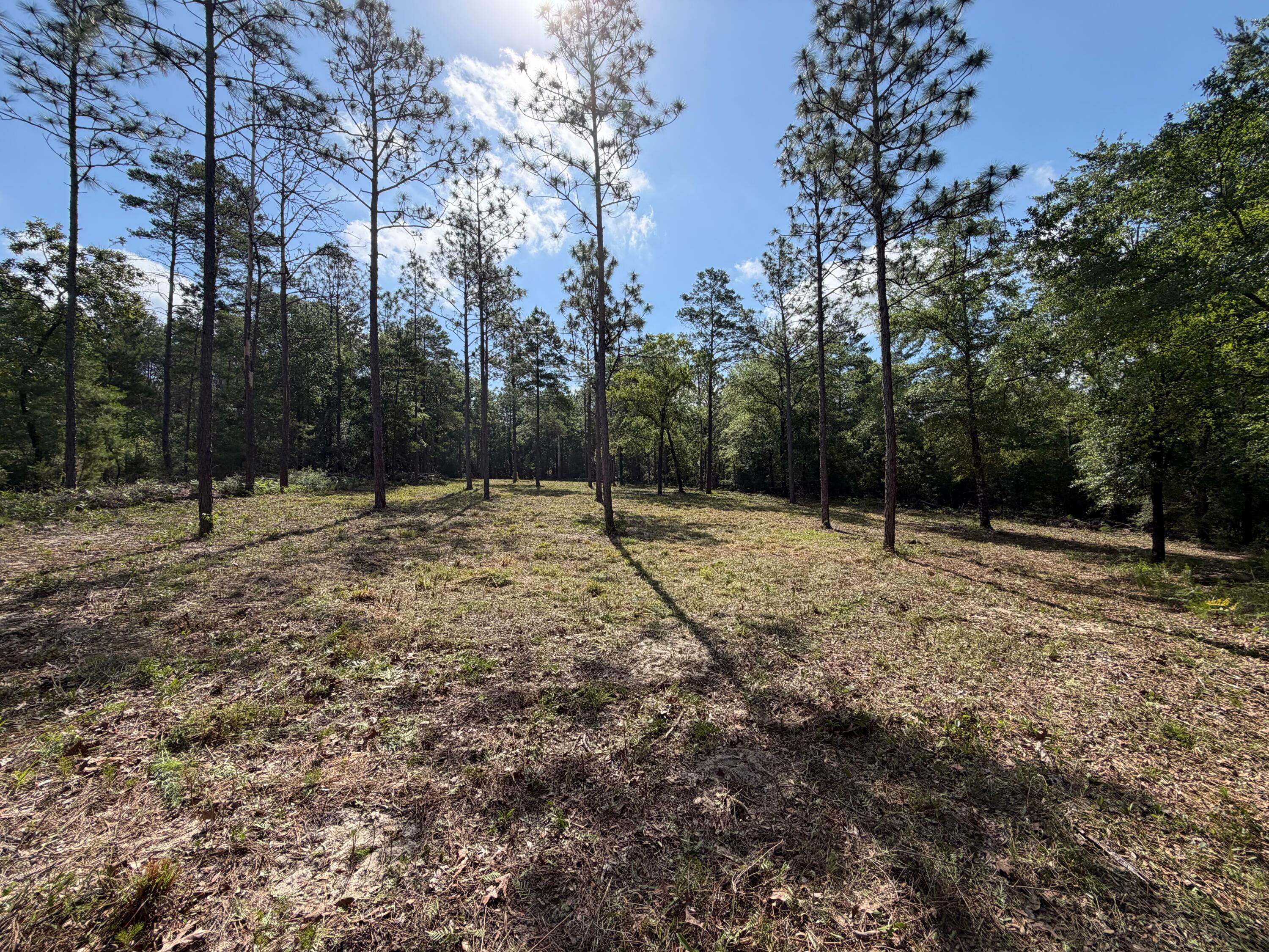 0 Laird Road Crestview, FL 32539 - Photo 6 of 59 IMG_0667