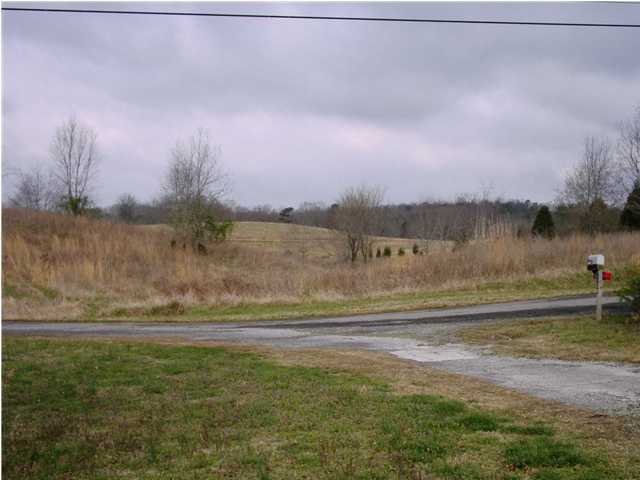 0 Sable Road, Unit LT 17 Spring City, TN 37381 - Photo 8 of 8 Additional Photo