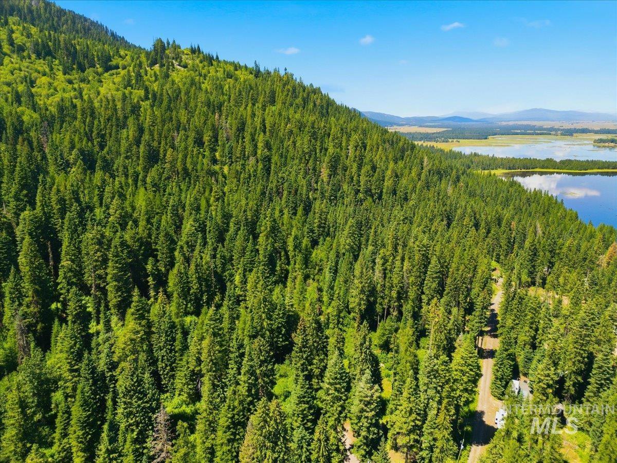 2437 Maverick Road Donnelly, ID 83615 - Photo 9 of 20 Gallery Image 9