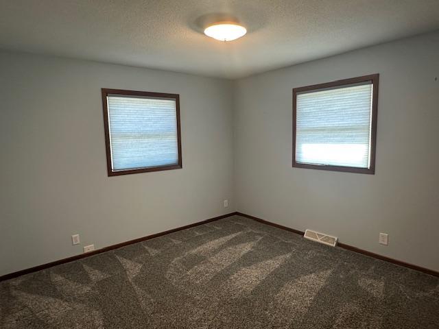 701 3rd Street Barrett, MN 56311 - Photo 16 of 27 Gallery Image 16