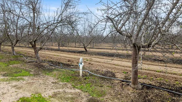 a view of dirt yard with wooden fence