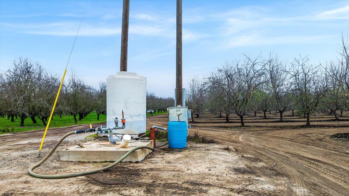 20339 Sexton Road Escalon, CA 95320 - Photo 26 of 38 a view of a park with large trees