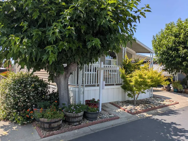 a potted plant sitting in front of a house