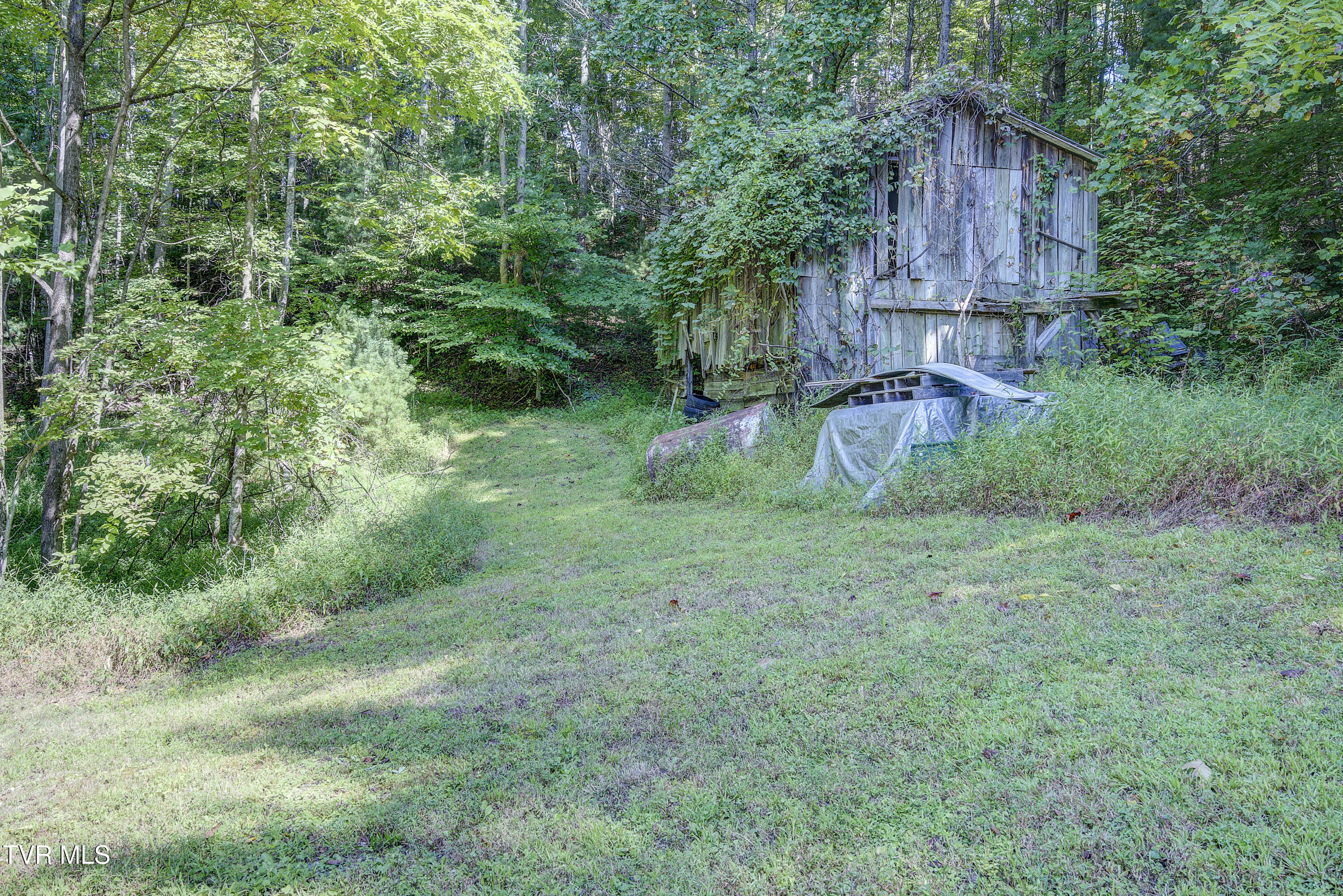 239 Viss Honeycutt Road Erwin, TN 37650 - Photo 36 of 66 Viss-48
