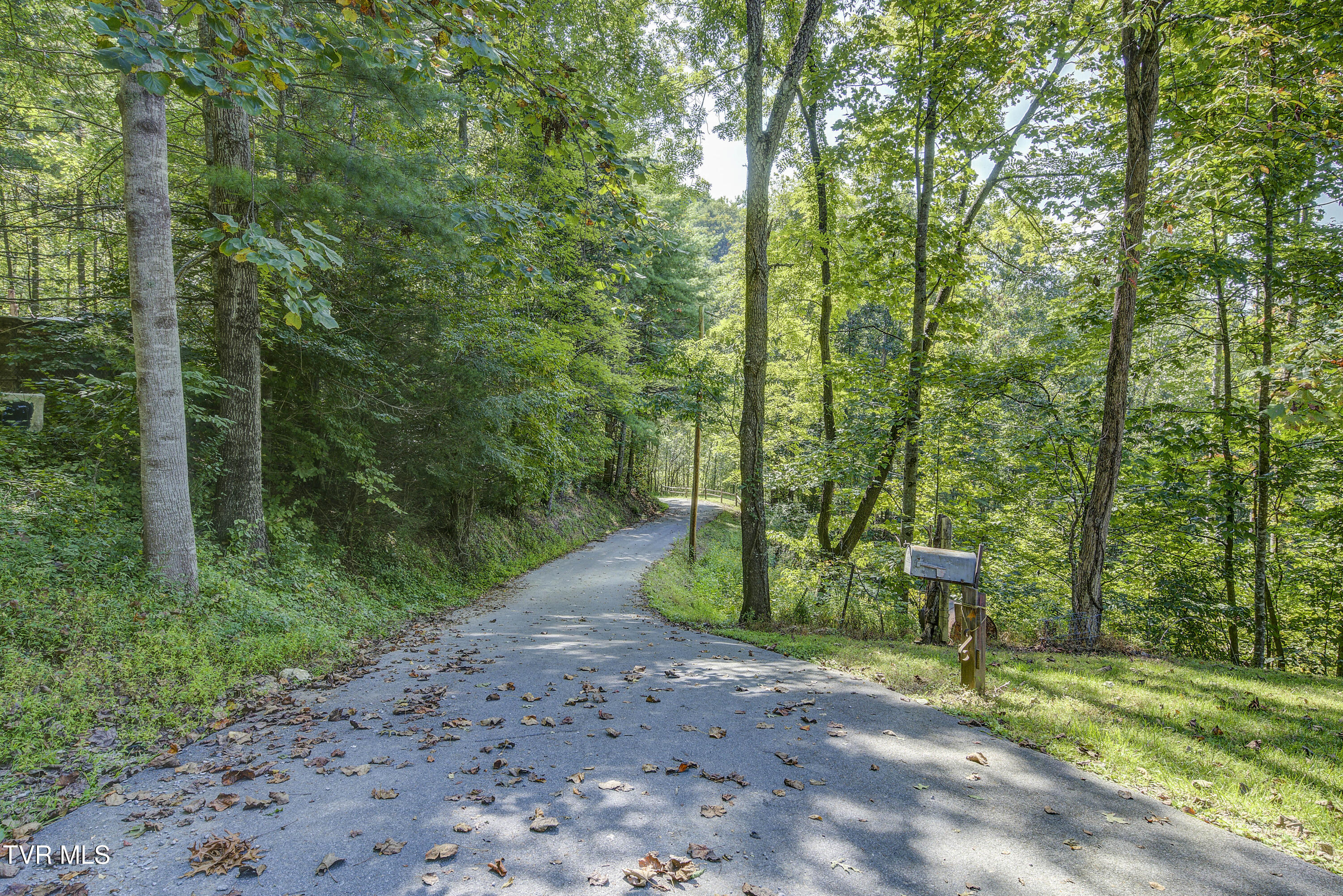239 Viss Honeycutt Road Erwin, TN 37650 - Photo 38 of 66 Viss-51
