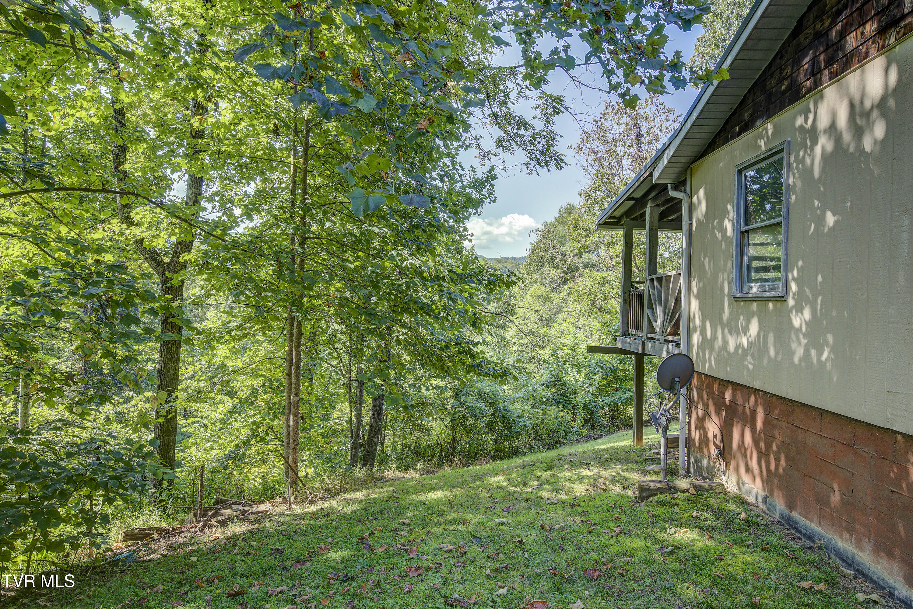 239 Viss Honeycutt Road Erwin, TN 37650 - Photo 43 of 66 Viss-41