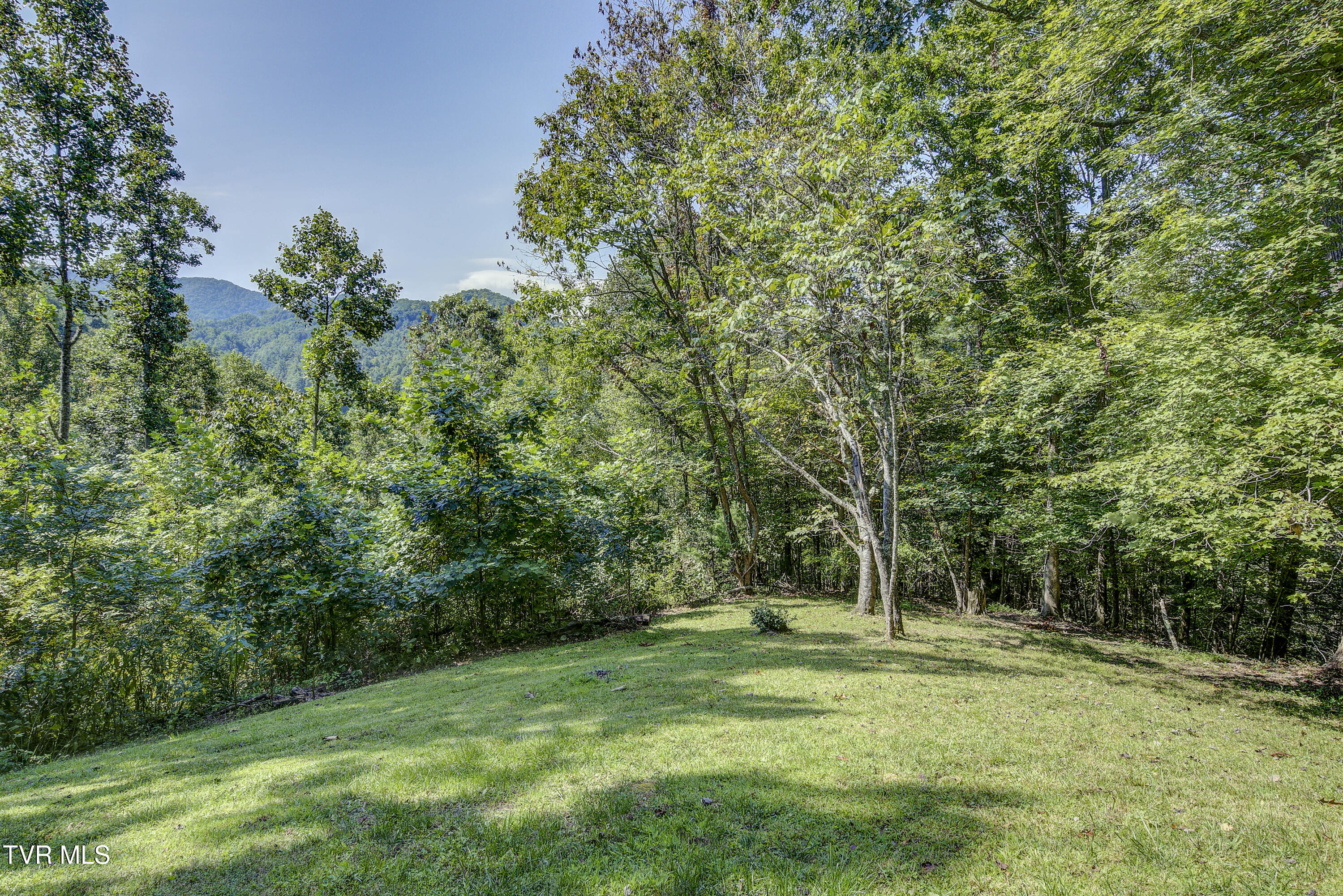 239 Viss Honeycutt Road Erwin, TN 37650 - Photo 44 of 66 Viss-42