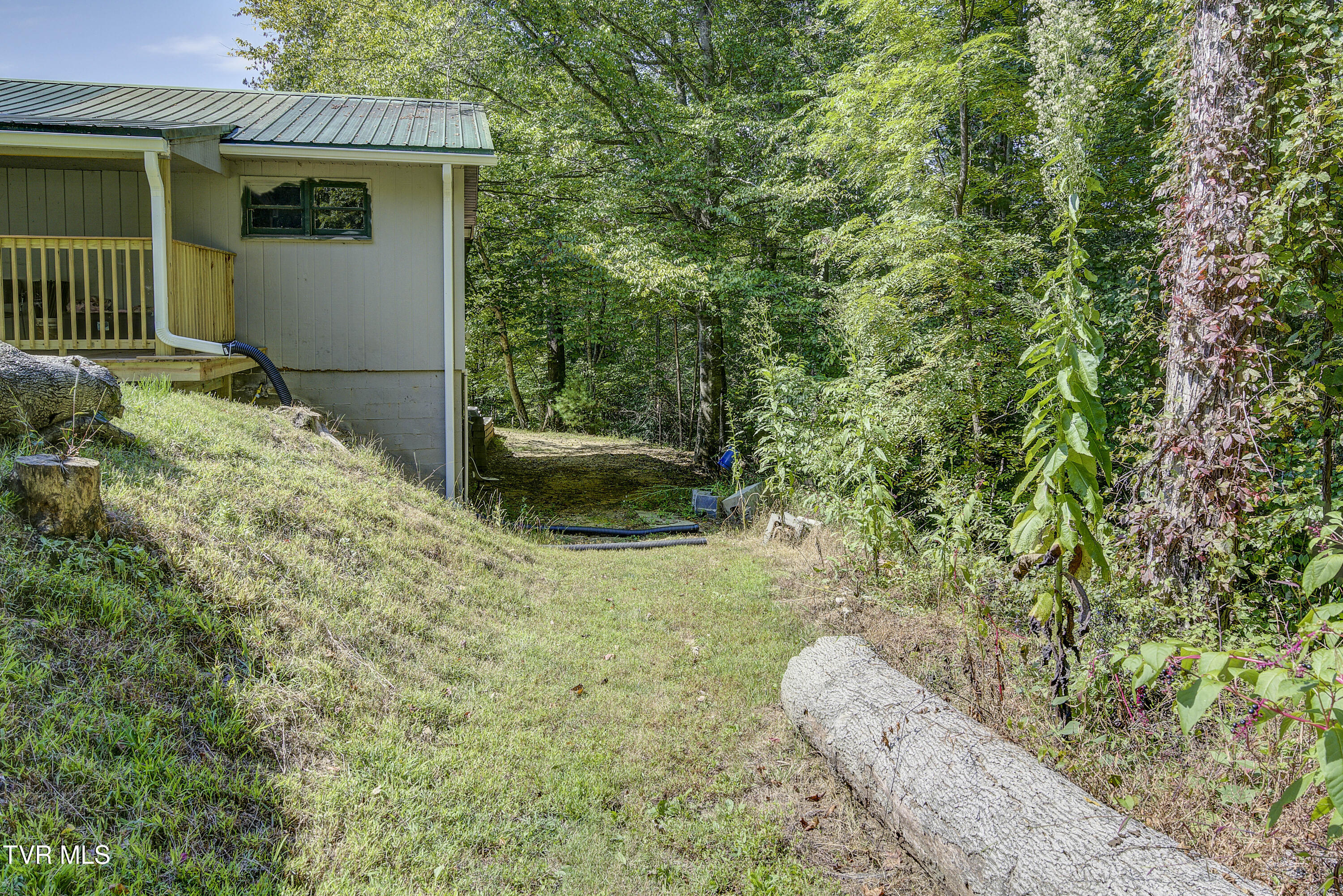 239 Viss Honeycutt Road Erwin, TN 37650 - Photo 46 of 66 Viss-45