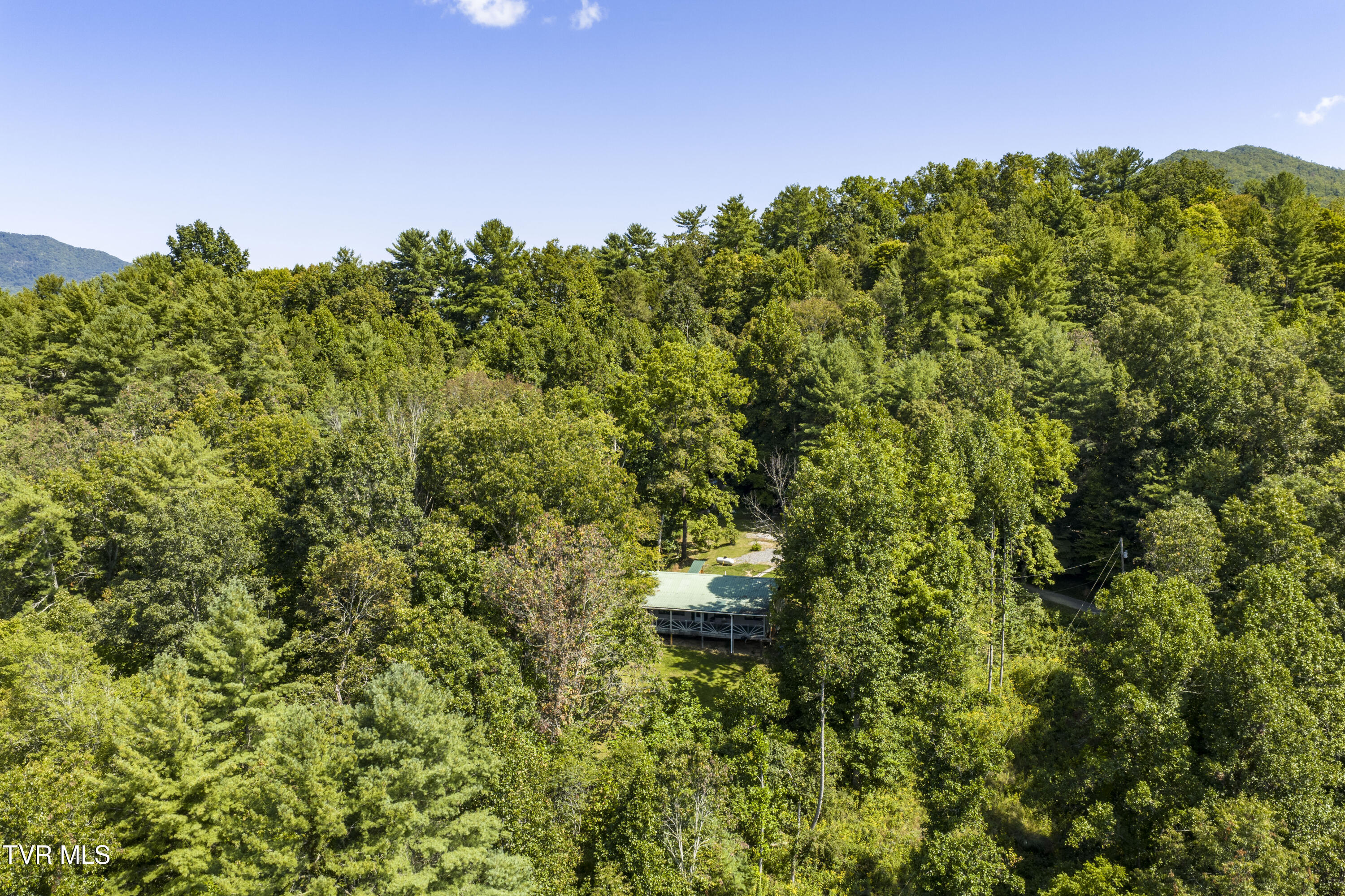 239 Viss Honeycutt Road Erwin, TN 37650 - Photo 52 of 66 Viss-Aerials-4