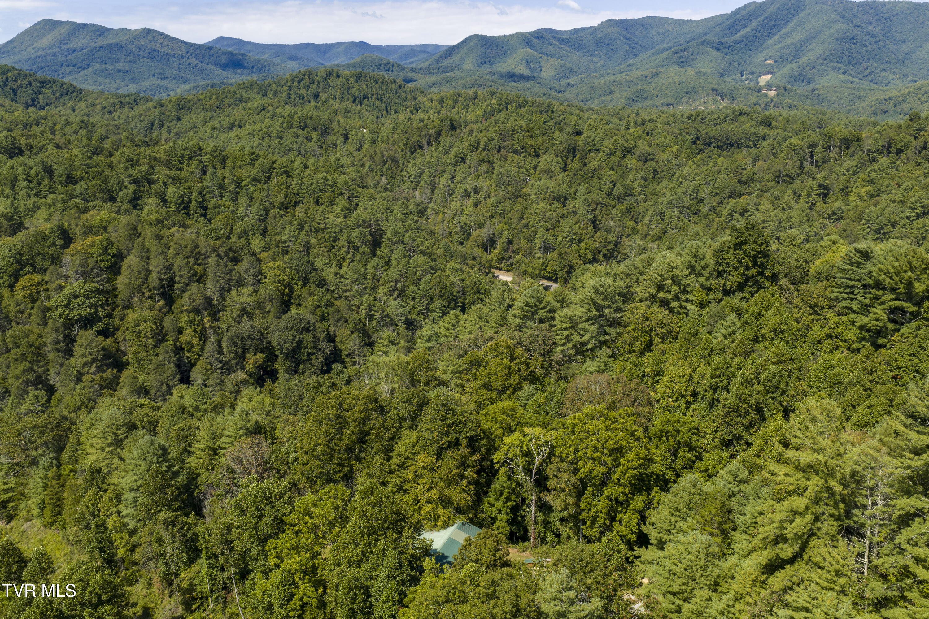 239 Viss Honeycutt Road Erwin, TN 37650 - Photo 63 of 66 Viss-Aerials-14
