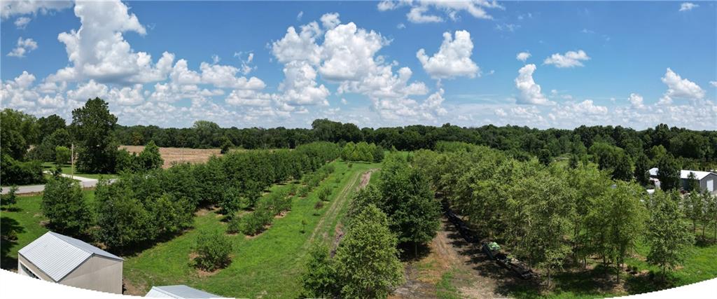22701 Timberview Road Harrisonville, MO 64701 - Photo 17 of 87