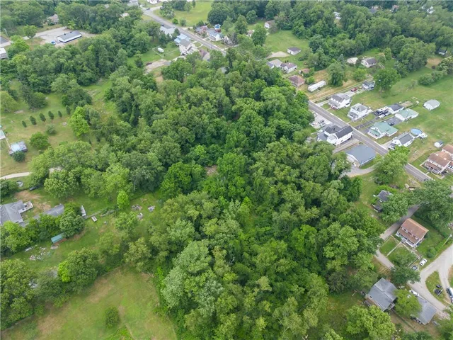 a view of a yard with a tree