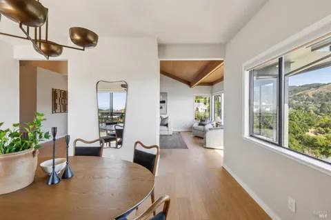 a view of a dining room with furniture a potted plant and wooden floor