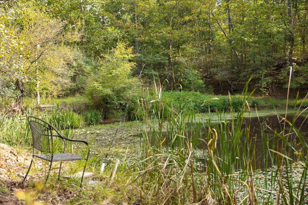 10375 Genoa Road Fulks Run, VA 22830 - Photo 71 of 75 Gallery Image 71