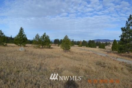 82 Anderson Road Riverside, WA 98849 - Photo 11 of 12 Gallery Image 11