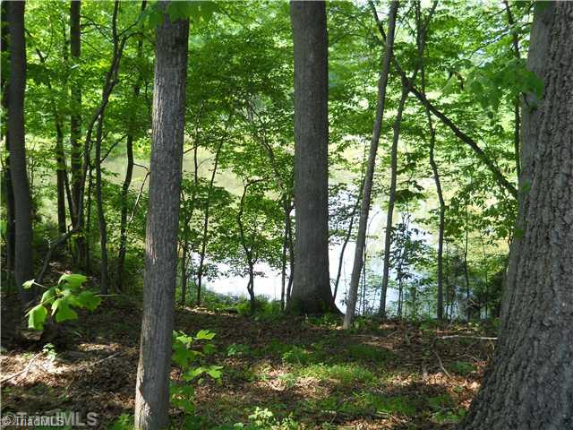 1202 West Westmoreland Road King, NC 27021 - Photo 7 of 15 Other. Pond