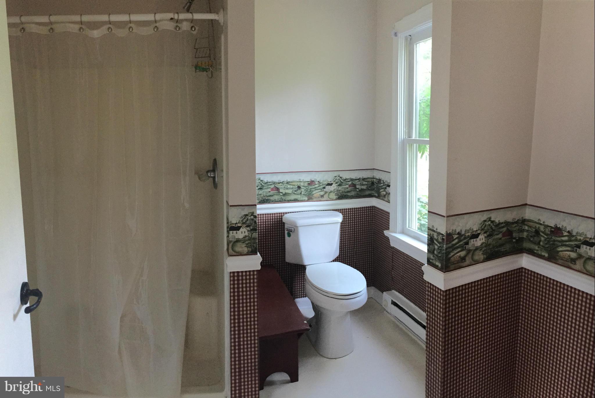 9395 Legion Road Denton, MD 21629 - Photo 14 of 21 a bathroom with a toilet a sink and a mirror