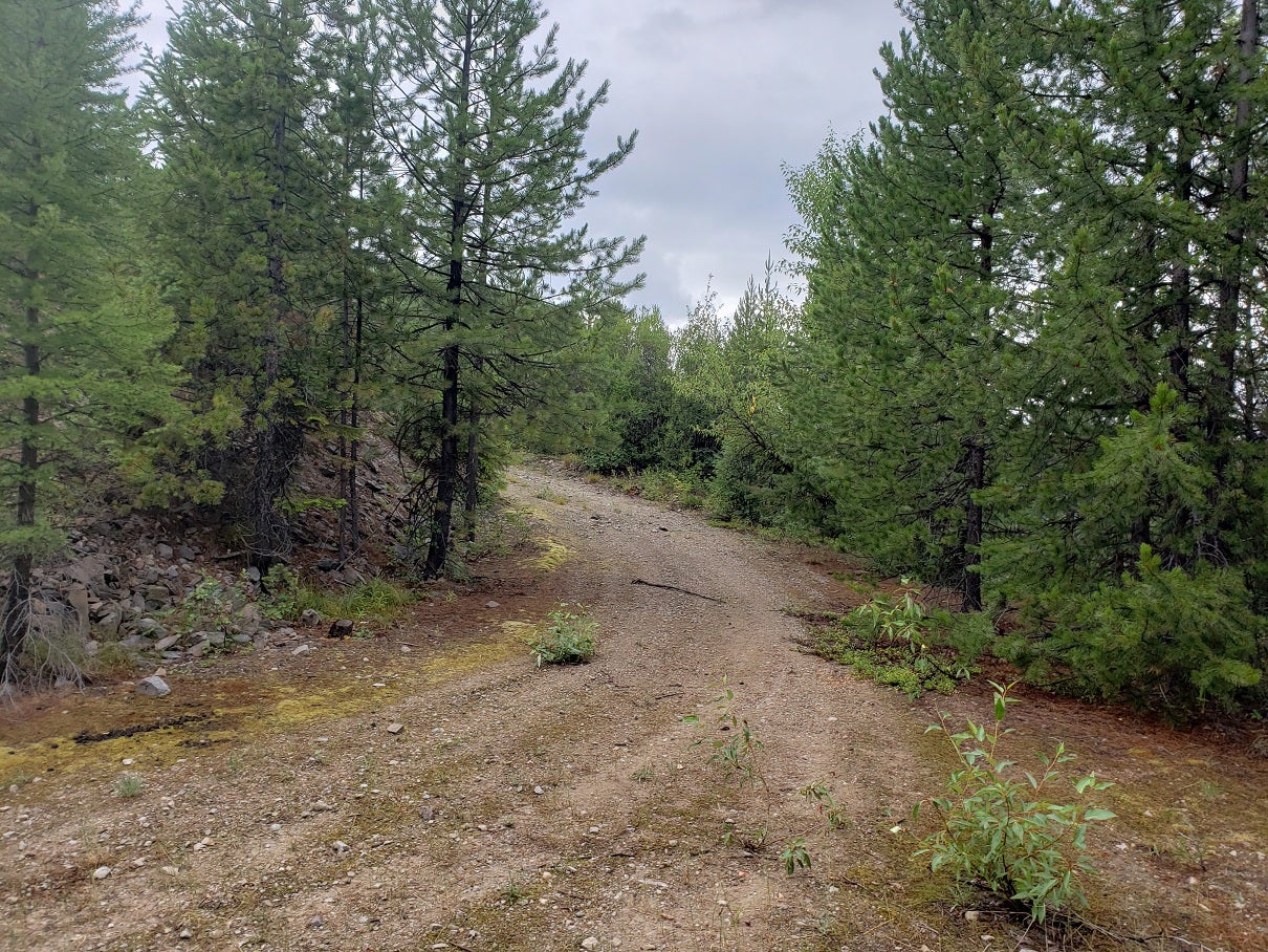 20 Nine Mile Road Huson, MT 59846 - Photo 6 of 10 Gallery Image 6
