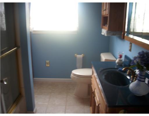 1087 Country Club Road Monongahela, PA 15063 - Photo 7 of 13 Master Bath/Spa.