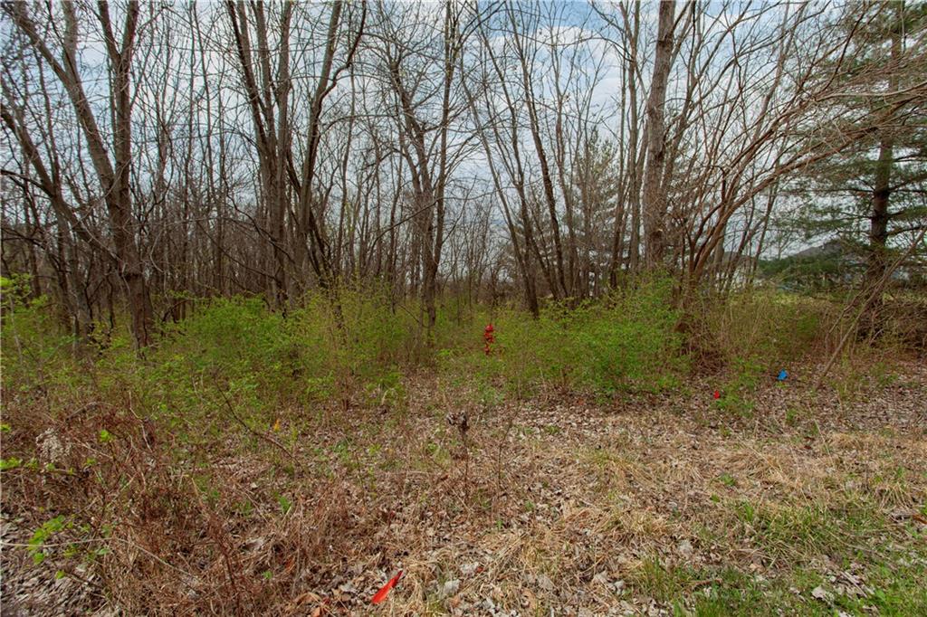4203 Southeast Willow Ridge Court Blue Springs, MO 64014 - Photo 43 of 46
