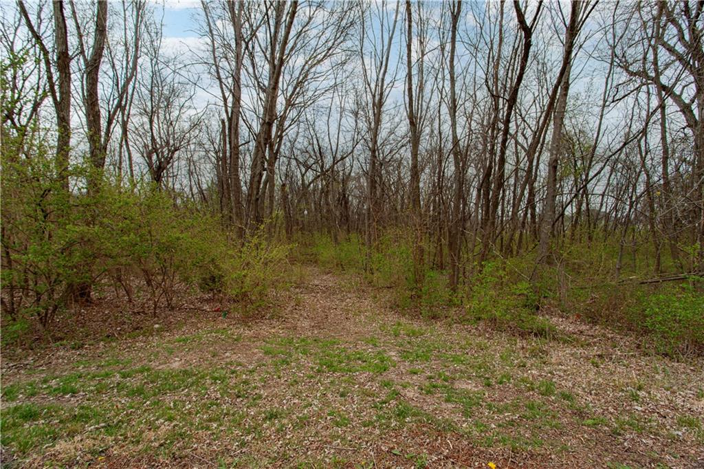4203 Southeast Willow Ridge Court Blue Springs, MO 64014 - Photo 44 of 46