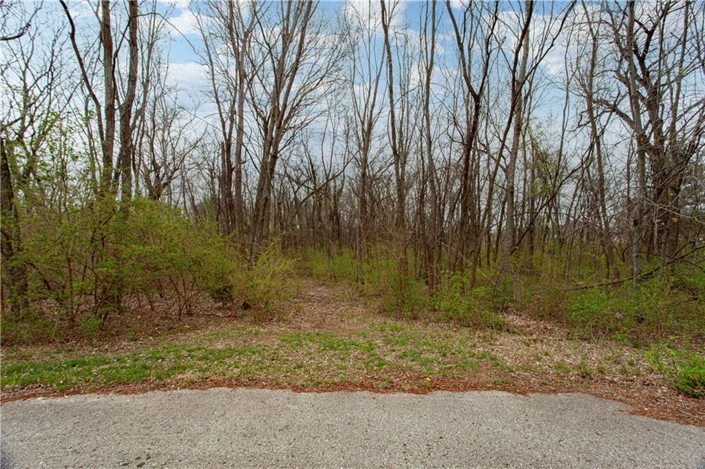 4203 Southeast Willow Ridge Court Blue Springs, MO 64014 - Photo 45 of 46
