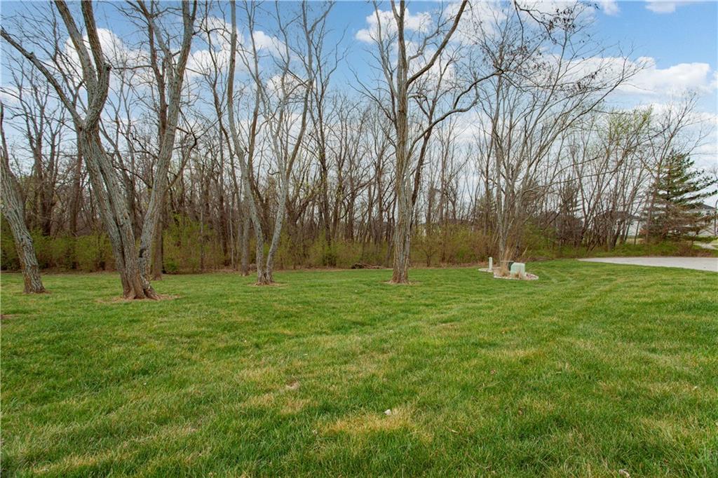 4203 Southeast Willow Ridge Court Blue Springs, MO 64014 - Photo 46 of 46