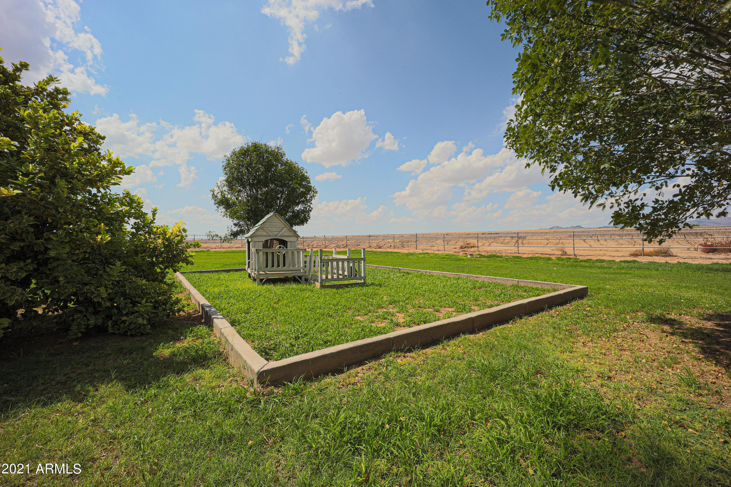 22834 Shumway Farm Road Buckeye, AZ 85326 - Photo 37 of 47 Backyard