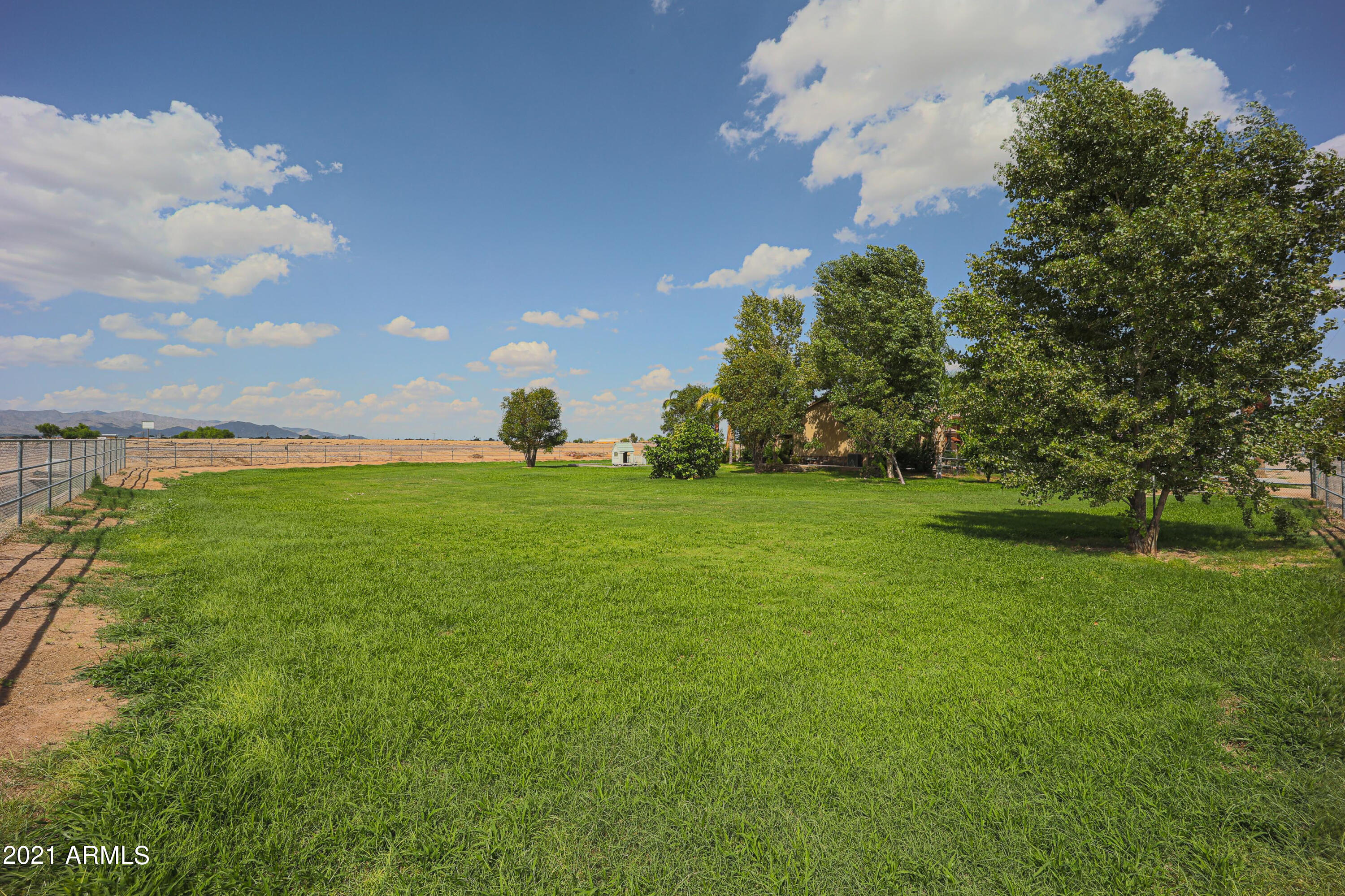 22834 Shumway Farm Road Buckeye, AZ 85326 - Photo 39 of 47 Backyard