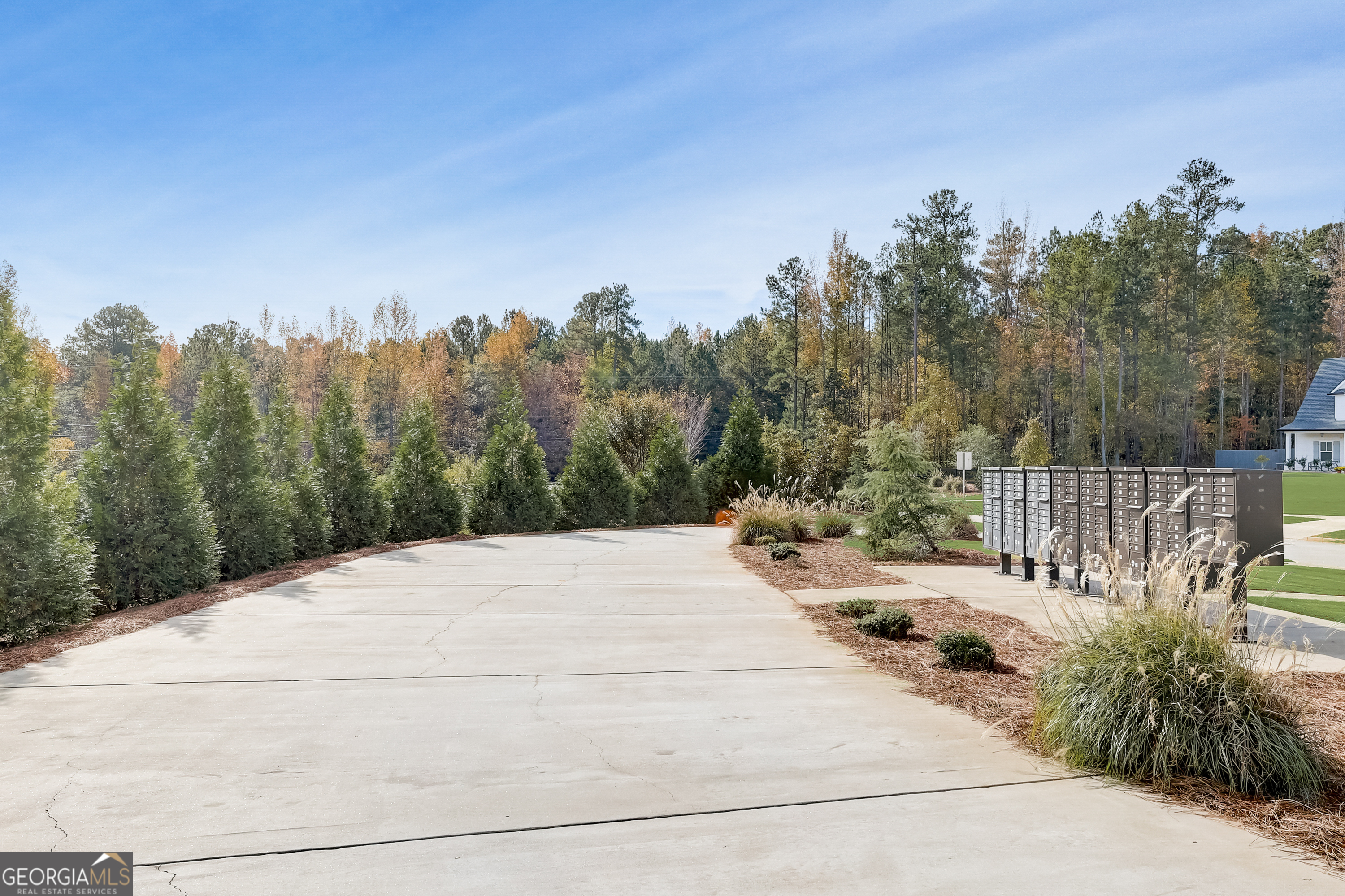 98 Ryeland Drive Senoia, GA 30276 - Photo 94 of 100