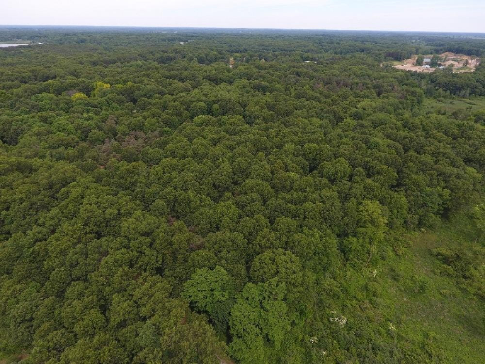 V/l Whipple Road Jackson, MI 49201 - Photo 1 of 19 1