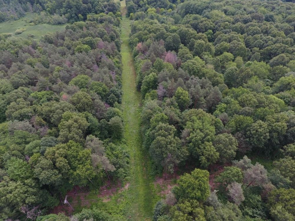 V/l Whipple Road Jackson, MI 49201 - Photo 3 of 19 3