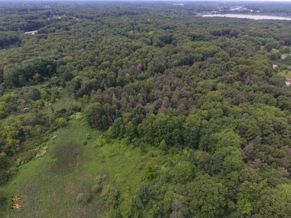 V/l Whipple Road Jackson, MI 49201 - Photo 4 of 19 5
