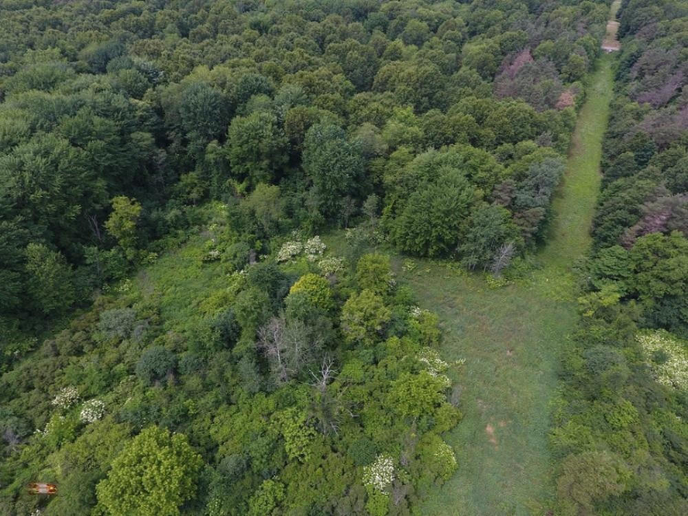 V/l Whipple Road Jackson, MI 49201 - Photo 5 of 19 6