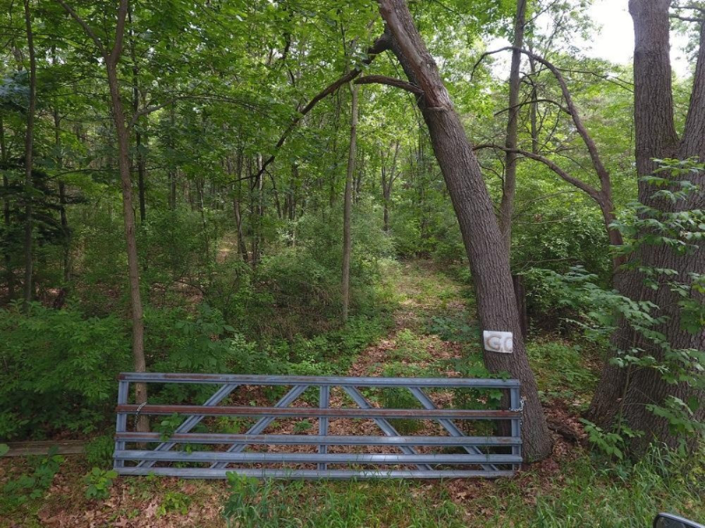 V/l Whipple Road Jackson, MI 49201 - Photo 8 of 19 9