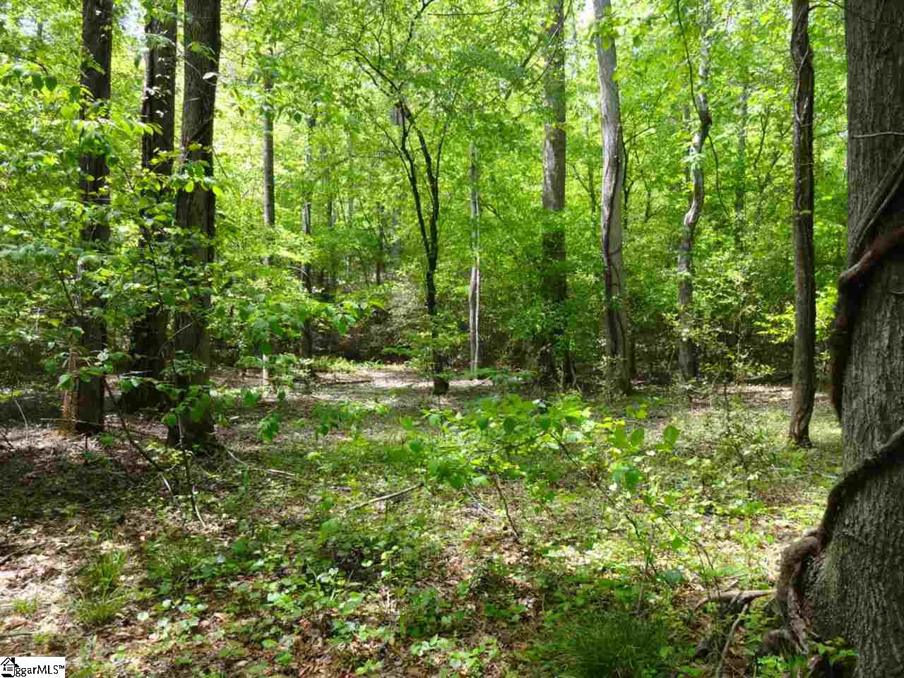 Keeler Bridge Road Marietta, SC 29661 - Photo 14 of 36