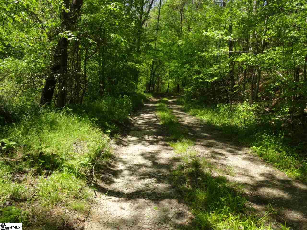 Keeler Bridge Road Marietta, SC 29661 - Photo 4 of 36