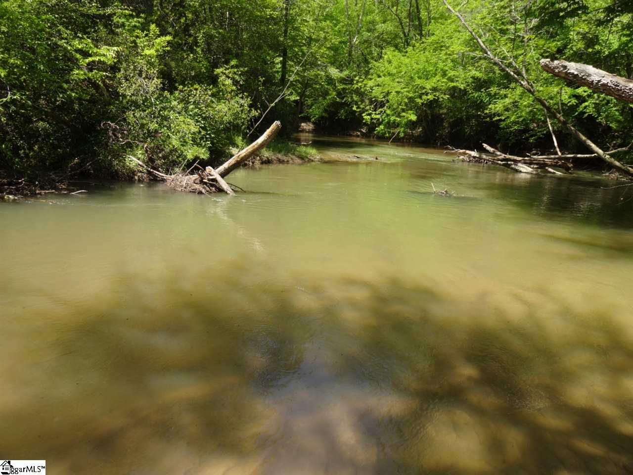 Keeler Bridge Road Marietta, SC 29661 - Photo 7 of 36
