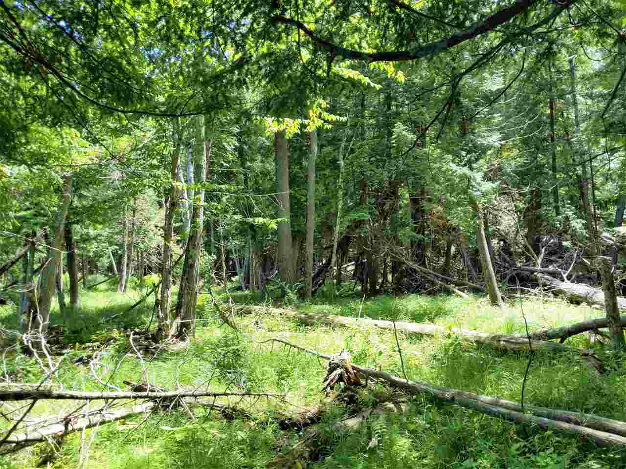 Burnt Mill Road Interlochen, MI 49643 - Photo 11 of 25 1863508-10.JPG