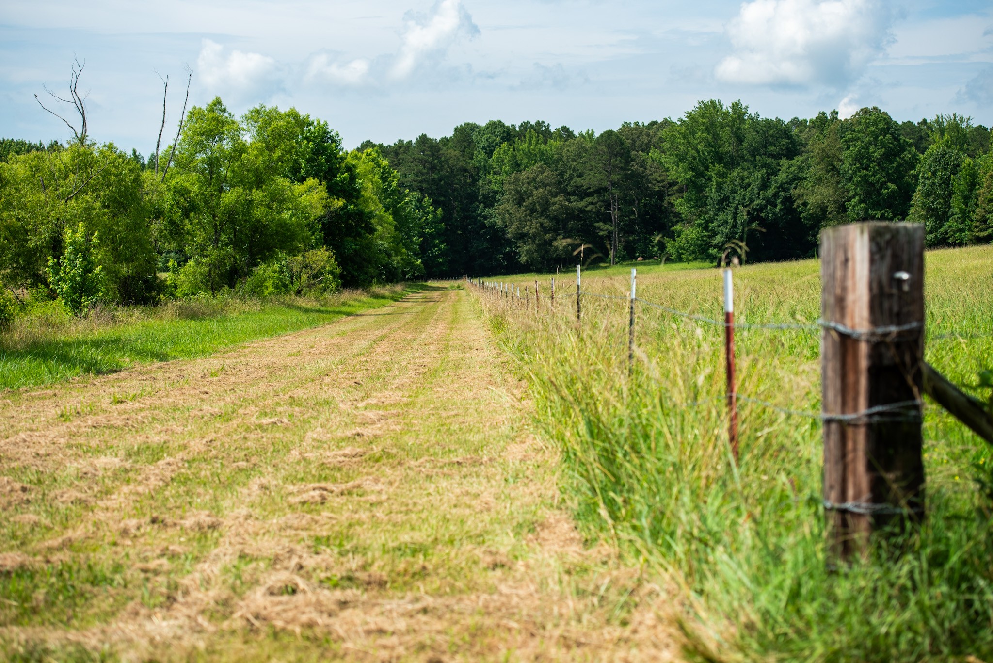 4791 Guys Chewalla Road Ramer, TN 38367 - Photo 11 of 77