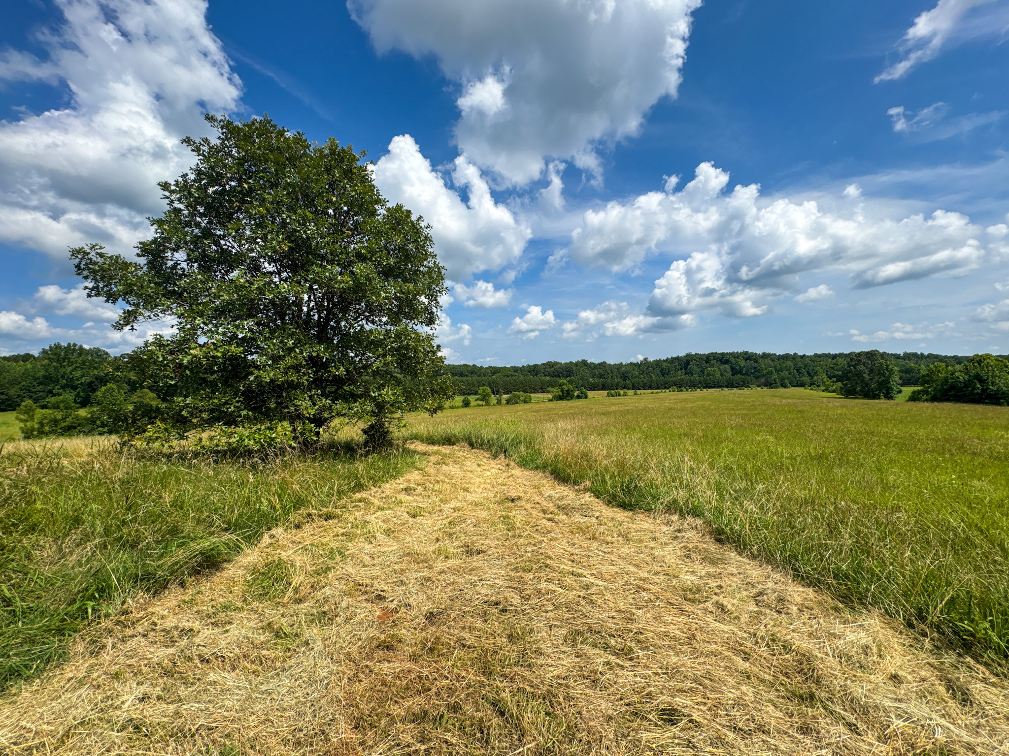 4791 Guys Chewalla Road Ramer, TN 38367 - Photo 3 of 77