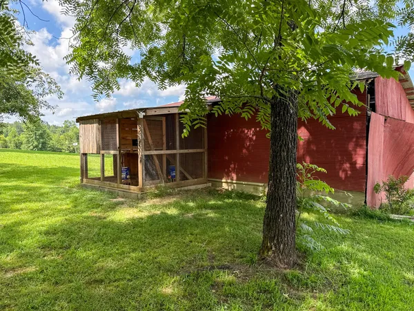 a view of a lush green forest