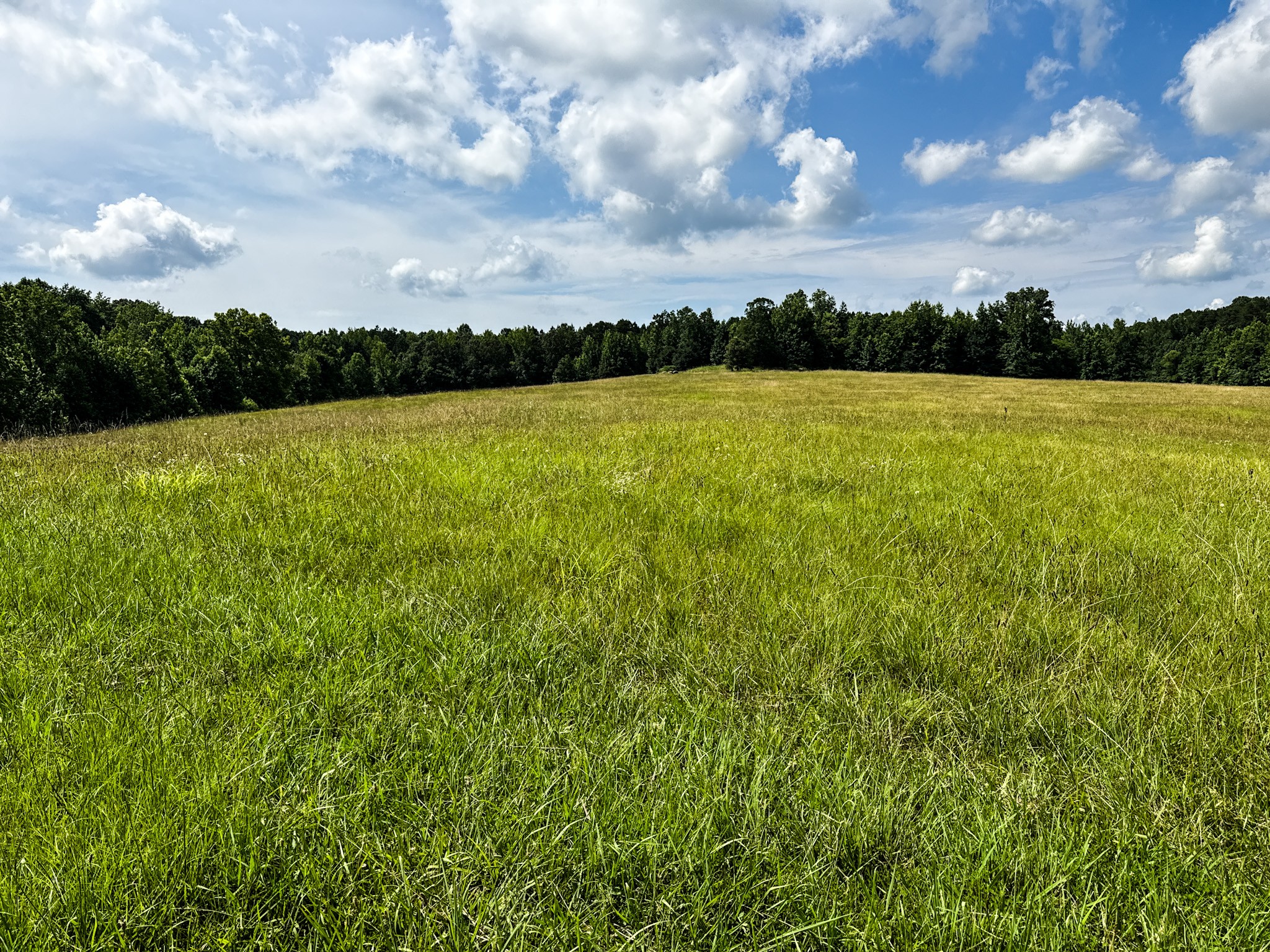 4791 Guys Chewalla Road Ramer, TN 38367 - Photo 38 of 77