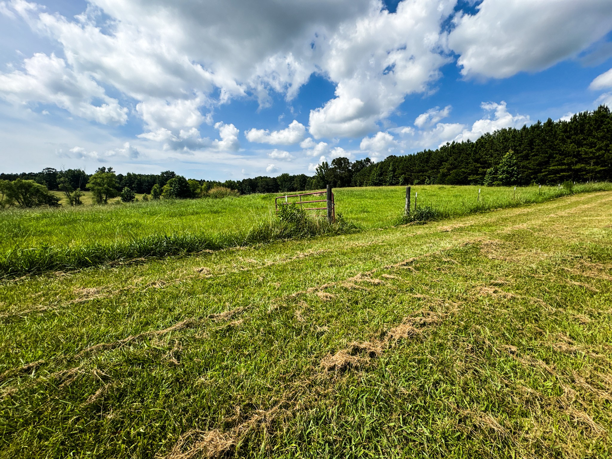 4791 Guys Chewalla Road Ramer, TN 38367 - Photo 39 of 77 a view of an outdoor space and a yard
