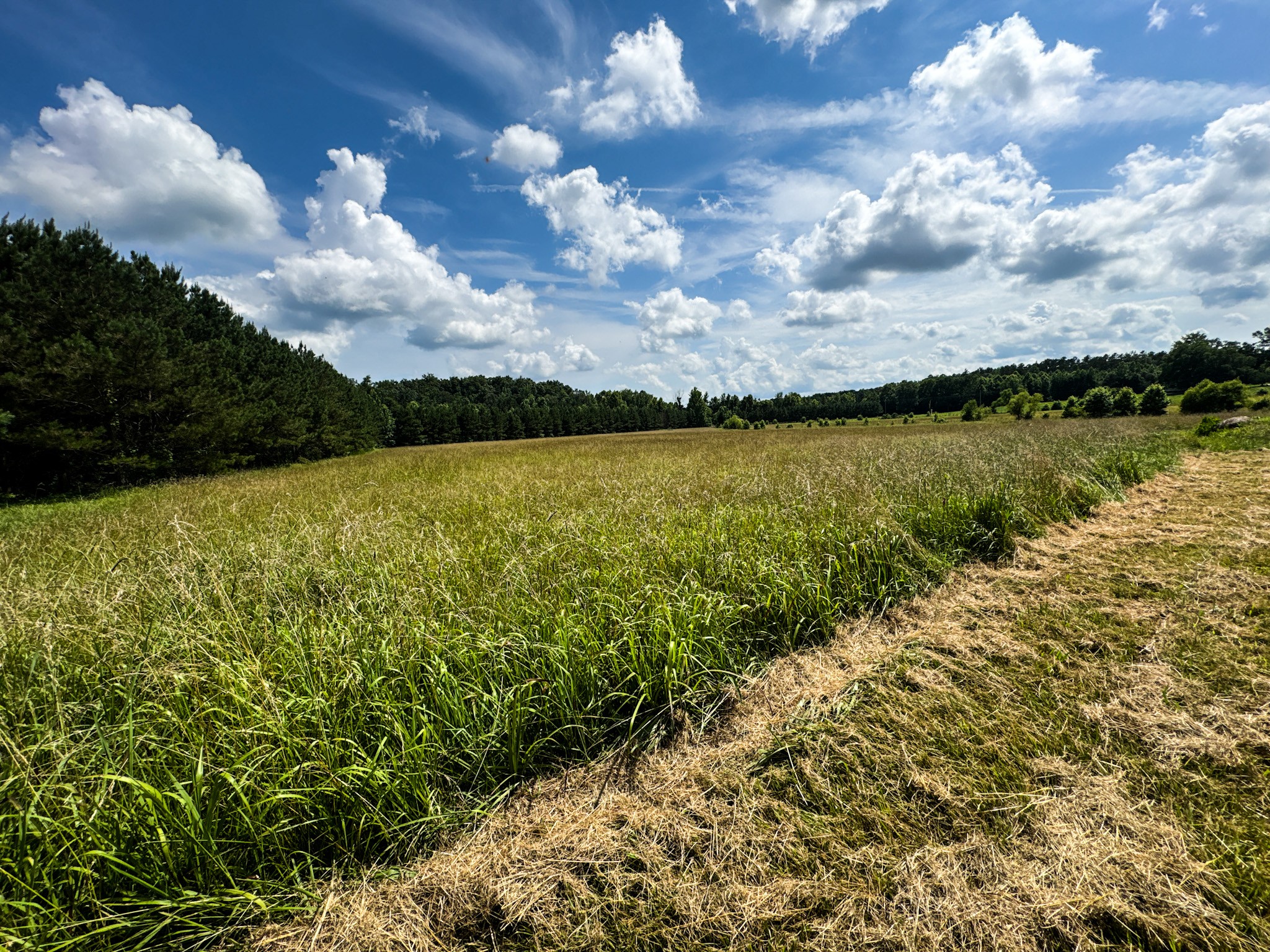 4791 Guys Chewalla Road Ramer, TN 38367 - Photo 40 of 77 a view of a lake with houses in the back