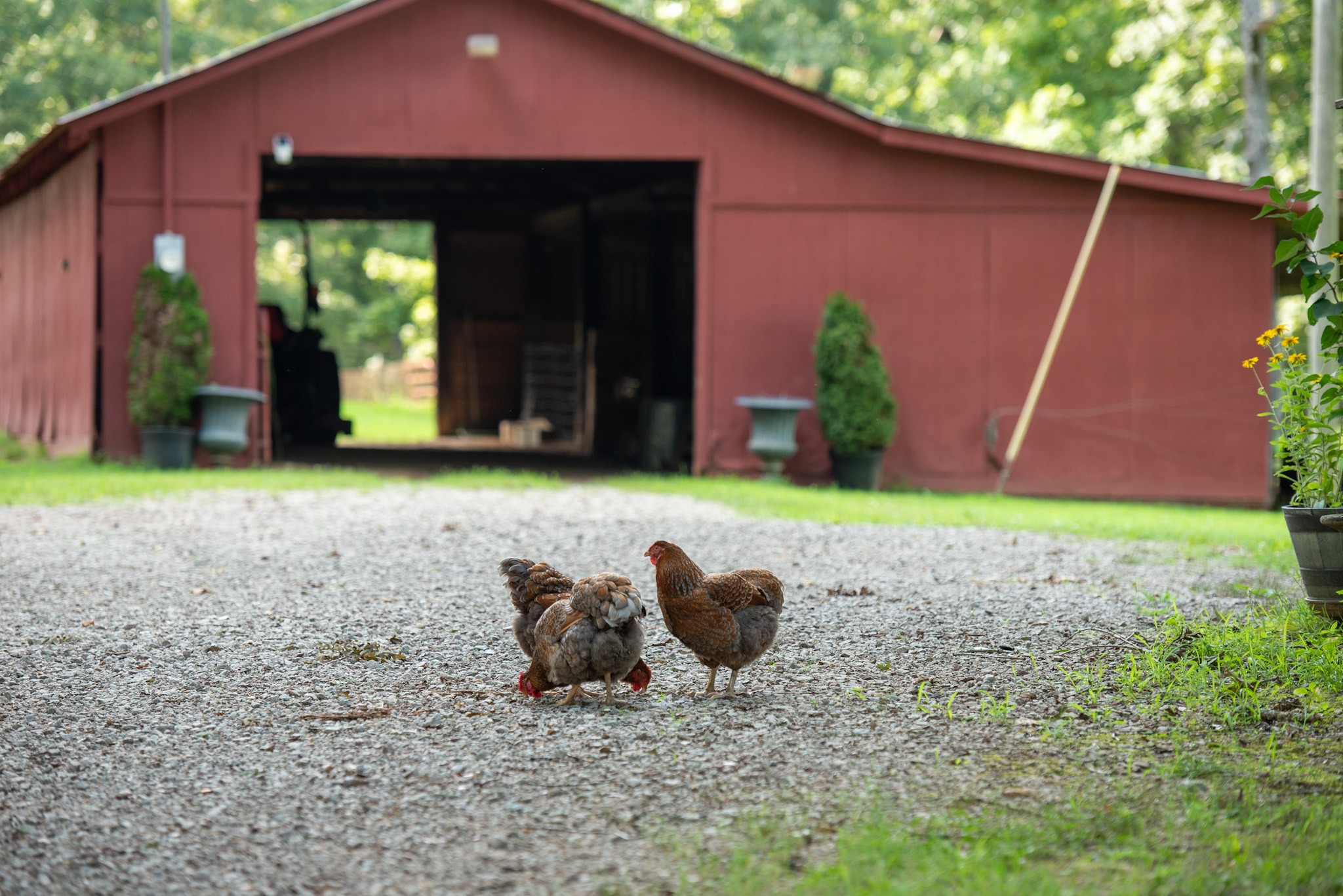 4791 Guys Chewalla Road Ramer, TN 38367 - Photo 4 of 77