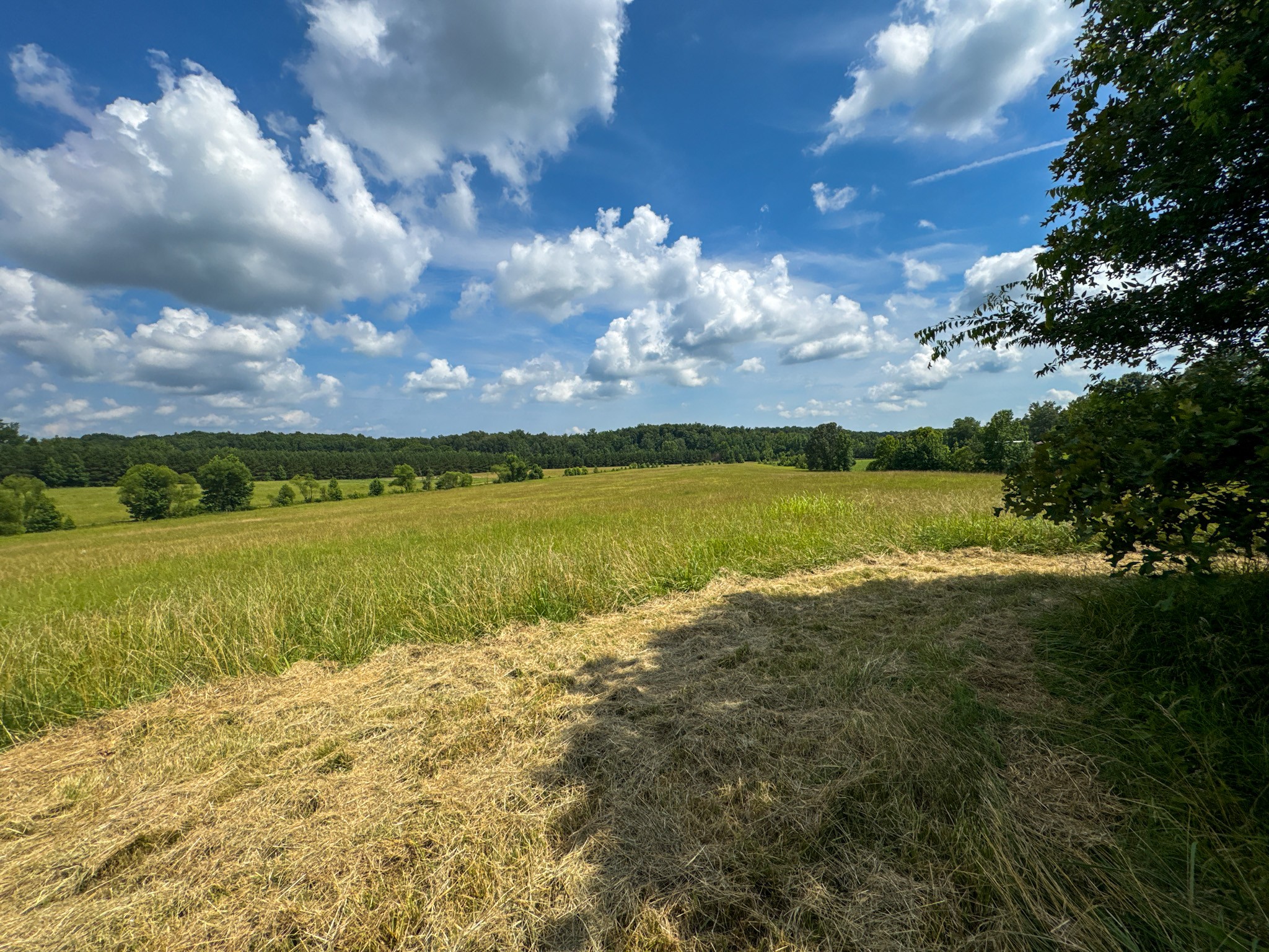 4791 Guys Chewalla Road Ramer, TN 38367 - Photo 41 of 77