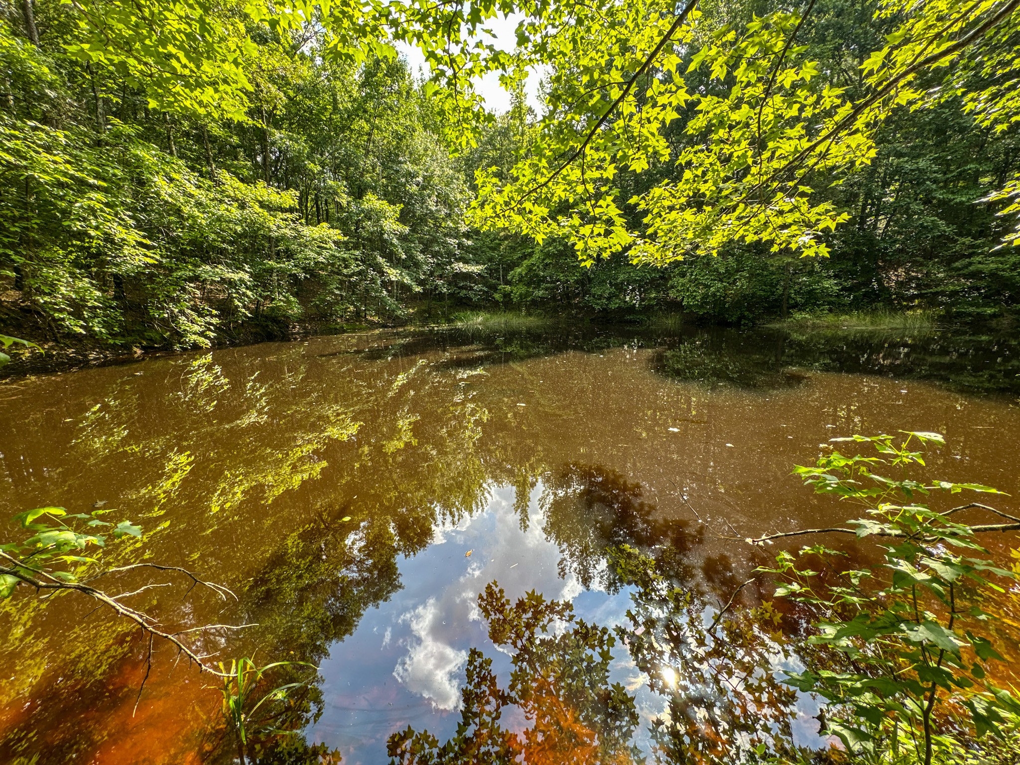 4791 Guys Chewalla Road Ramer, TN 38367 - Photo 43 of 77