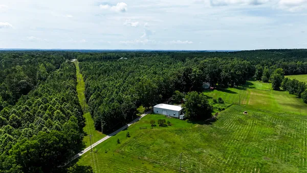 a view of a forest with trees